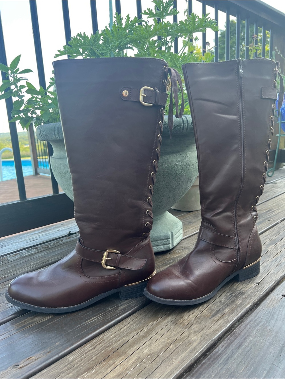 Wanted 
Women's Tall Riding Boots in Dark Brown - Classic Equestrian Style